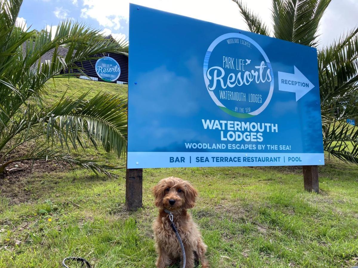Watermouth Lodges Ilfracombe Eksteriør bilde