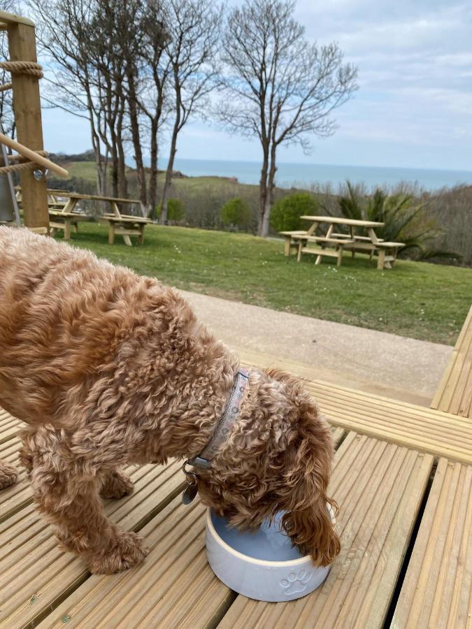 Watermouth Lodges Ilfracombe Eksteriør bilde
